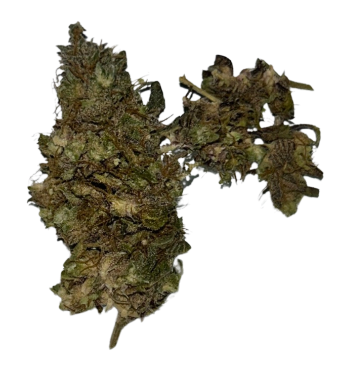 Kokonainen Basic CBD-kukka – Huolellisesti kuivattu ja pakattu laadun varmistamiseksi.