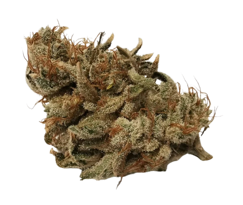 Premium CBD-kukka aromaterapiaan – Rentouttava ja puhdas kokemus.