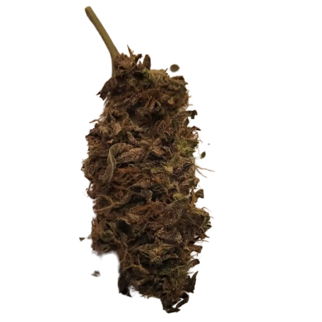 Basic CBD-kukinto – Tiivis ja raikkaan vihreä kukka, jossa on luonnollinen aromi.