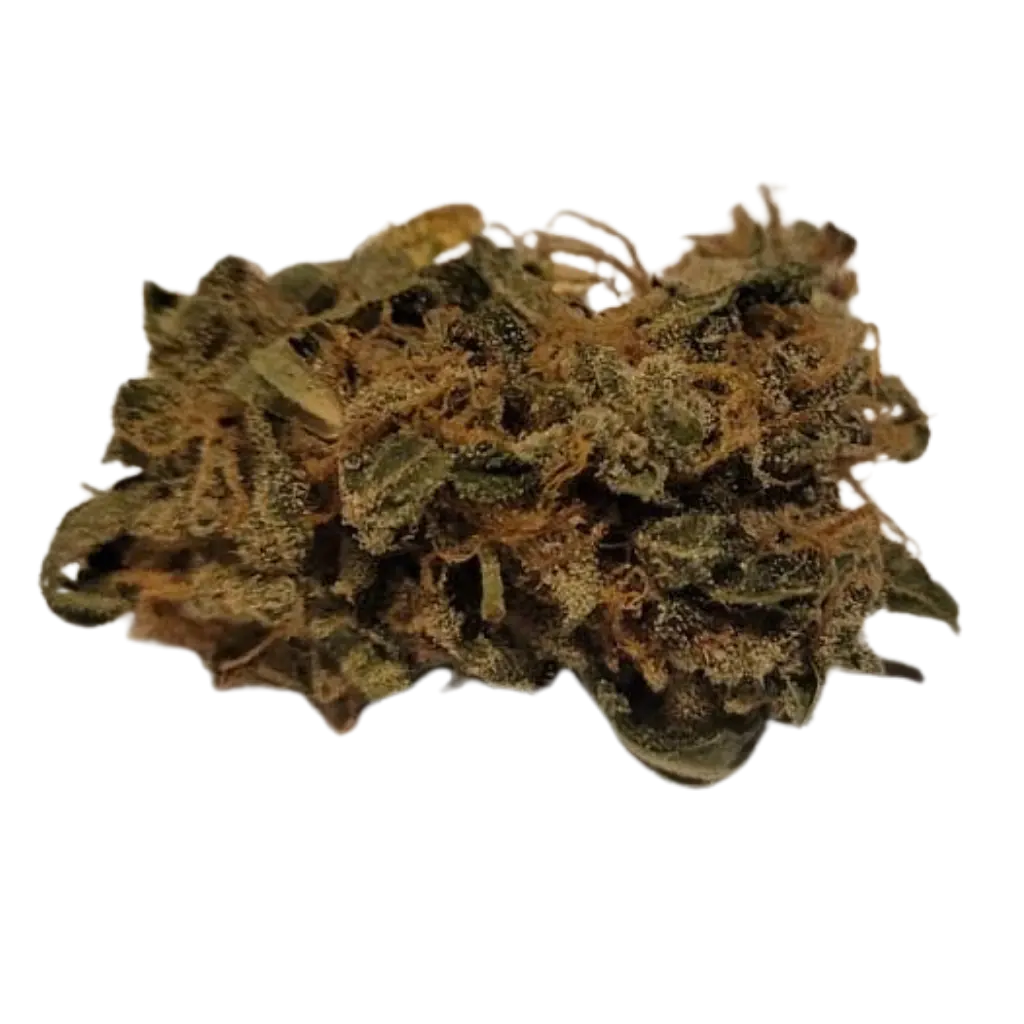 Laboratoriotestattu Basic CBD-kukka – Varmistettu puhtaus ja täysin 0% THC-pitoisuus.