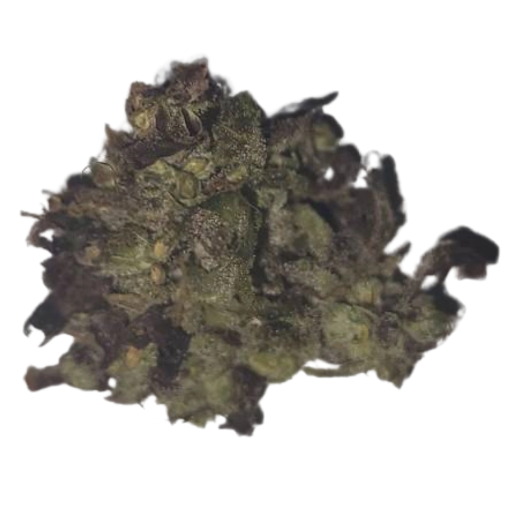 Aromaattinen Basic CBD-kukka – Mieto ja maanläheinen tuoksuprofiili.