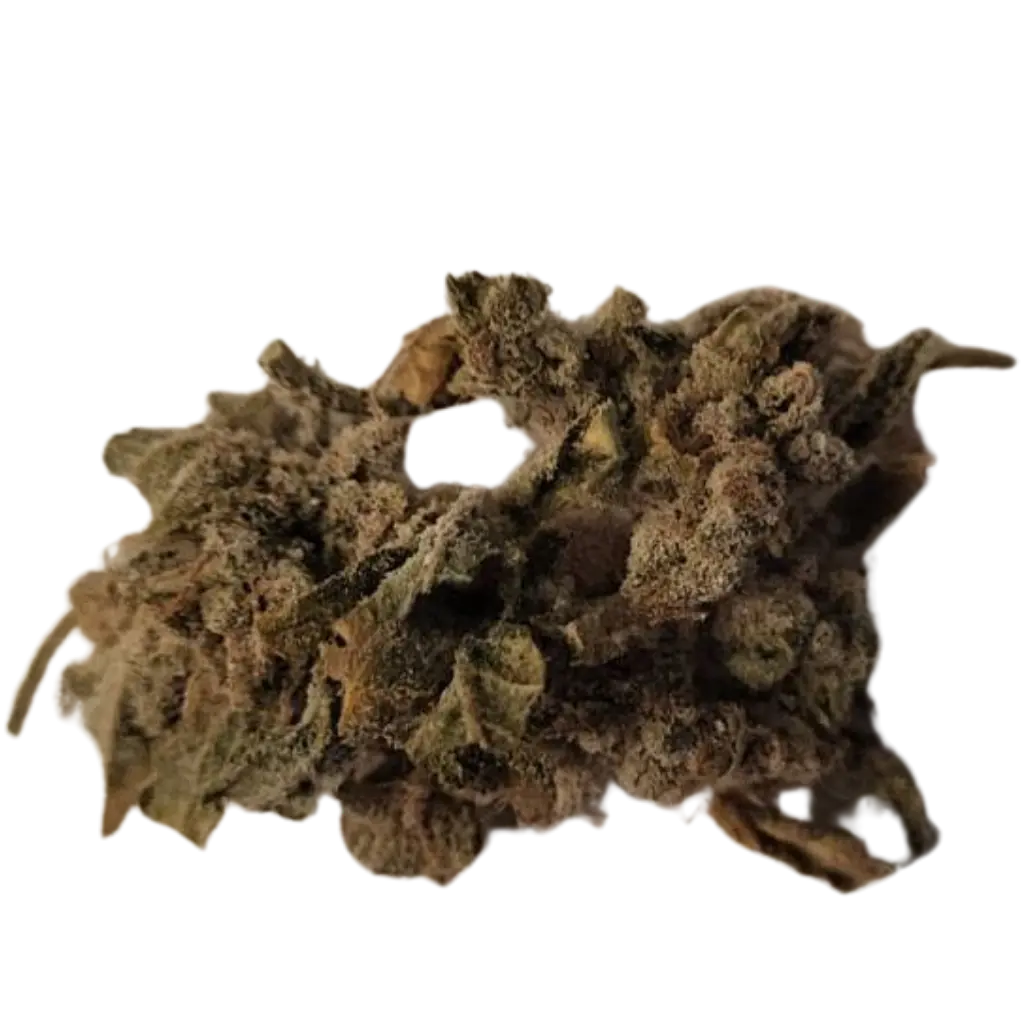 Basic CBD-lajike – Suosittu ja luotettava CBD-kukinto verkkokauppamme valikoimassa.