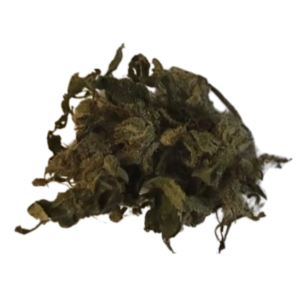 Puhdas Basic CBD-hamppu – Kasvatettu ilman kemiallisia torjunta-aineita Euroopassa.