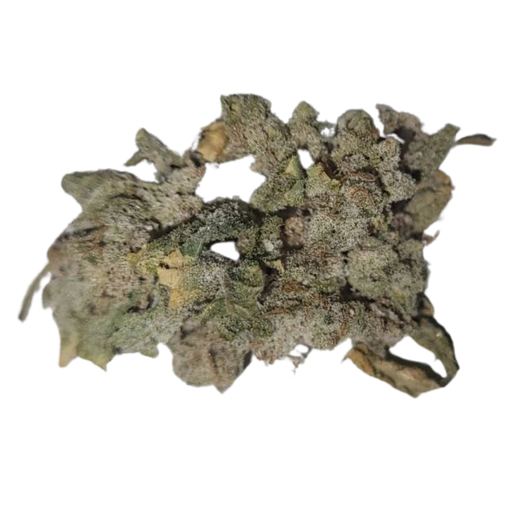 Basic CBD-kukka tuotekuva – Havainnollistus kukan rakenteesta ja vaaleista sävyistä.