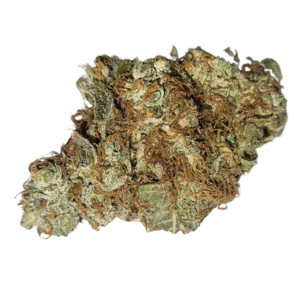Premium CBD-kukka – Käsin trimmattu ja hartsipitoinen hamppukukinto.