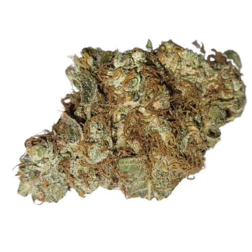 Premium CBD-kukka – Käsin trimmattu ja hartsipitoinen hamppukukinto.