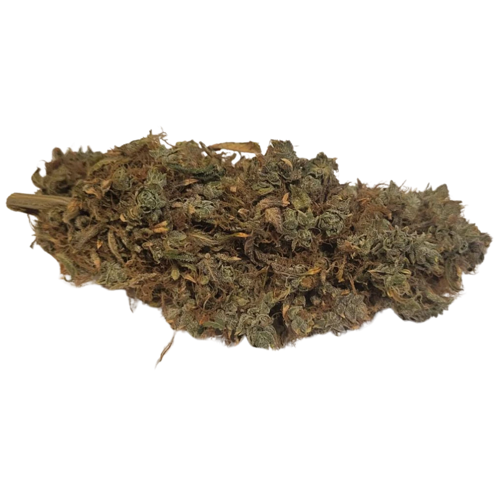 CBD-kukka Premium lähikuva – Näkyvät trikoomit ja runsas hartsi.