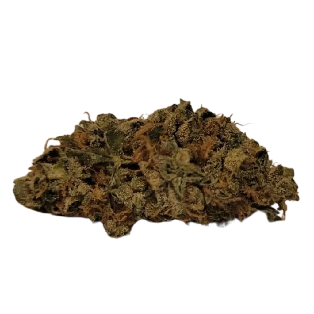 Basic CBD-kukka läheltä – Näkymä kukan trikoomeihin ja hienoon laatuun.