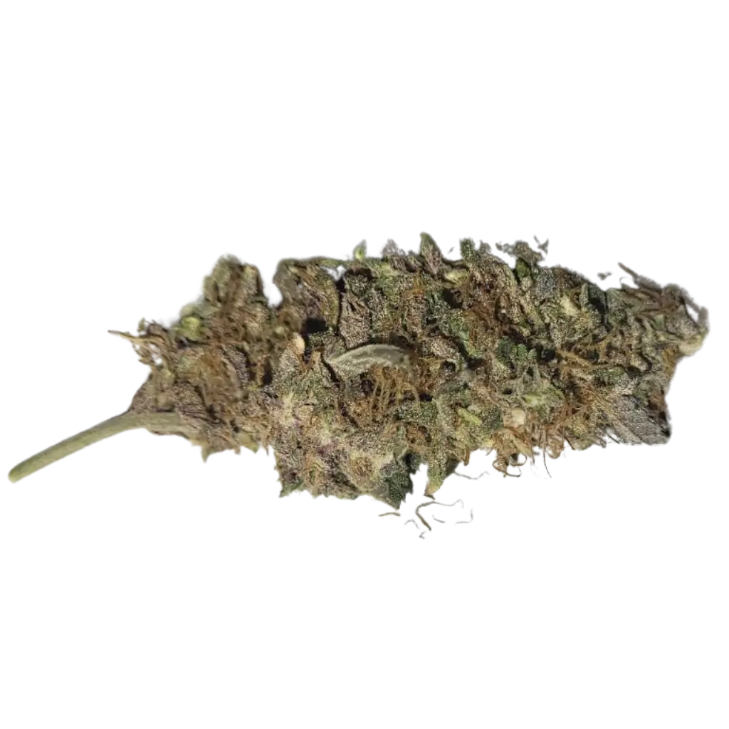 Hartsikas Premium CBD-hamppu – Luonnolliset terpeenit aromaterapiaan.