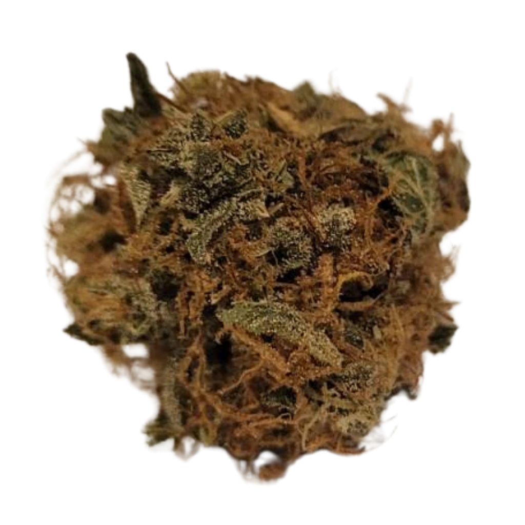 CBD-kukka Premium keräilytuote – Suomen laadukkain hamppukukinto.