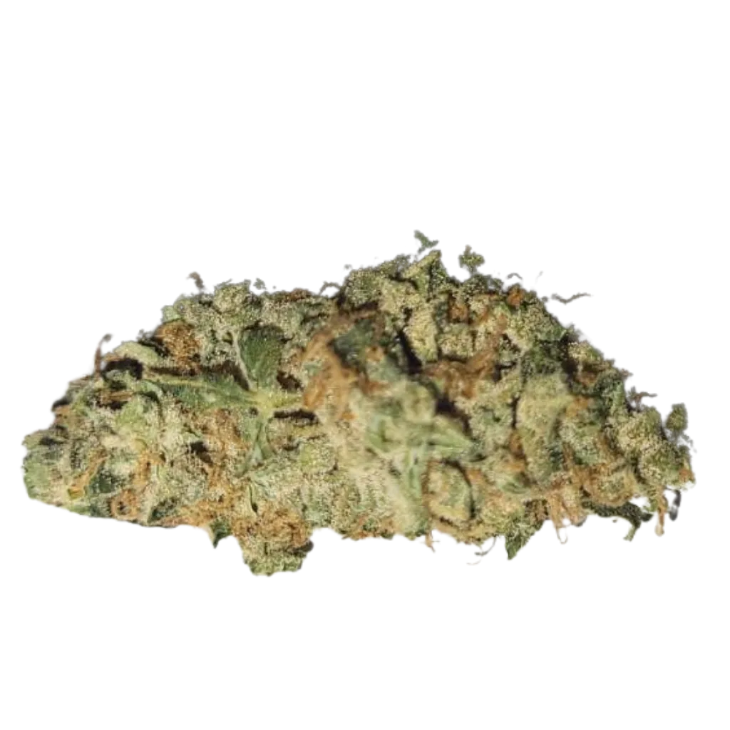 Premium CBD-kukka sisäviljely – Optimaalinen puhtaus ja teho.