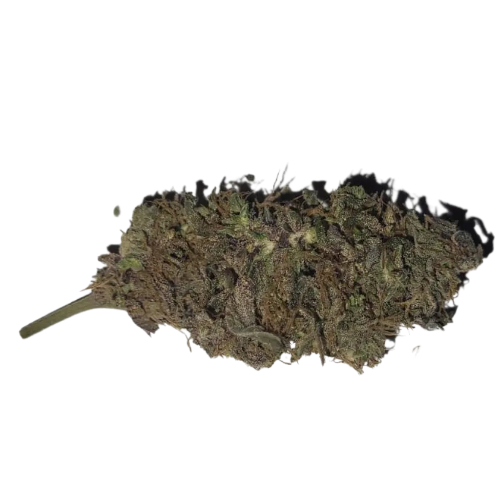 Vahva arominen CBD-kukka Premium – Maanläheinen ja puhdas tuoksu.