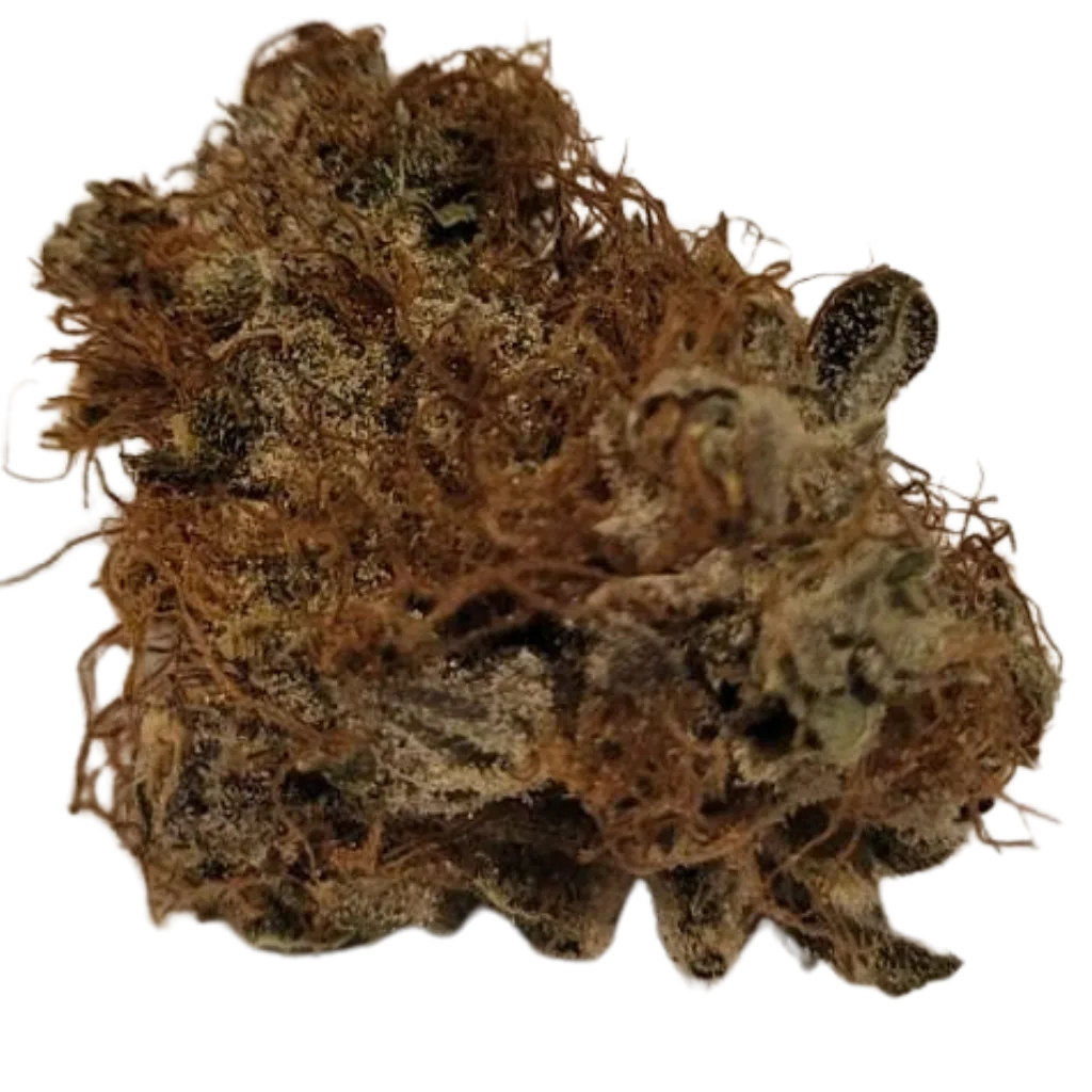 Tiivis ja hienojakoinen Premium CBD-kukka – Ensiluokkainen laatu.