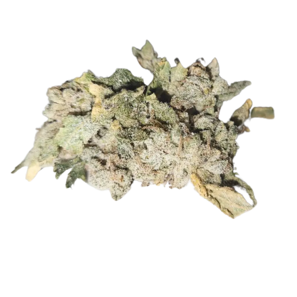 Premium CBD-hamppukukinto – EU-sertifioitua puhdasta laatua.