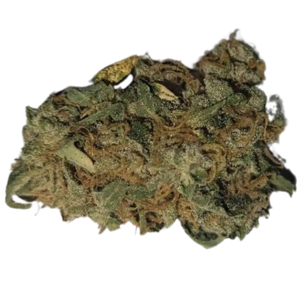 Luomu Basic CBD-kukka – Puhdasta luonnon voimaa ilman raskasmetalleja.
