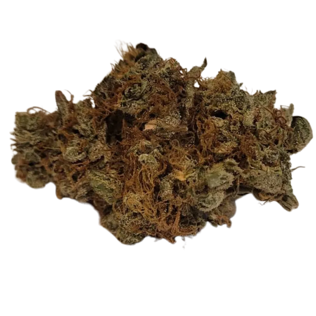 Aito Premium CBD-kukka – Luonnonmukaisesti kasvatettu ilman torjunta-aineita.